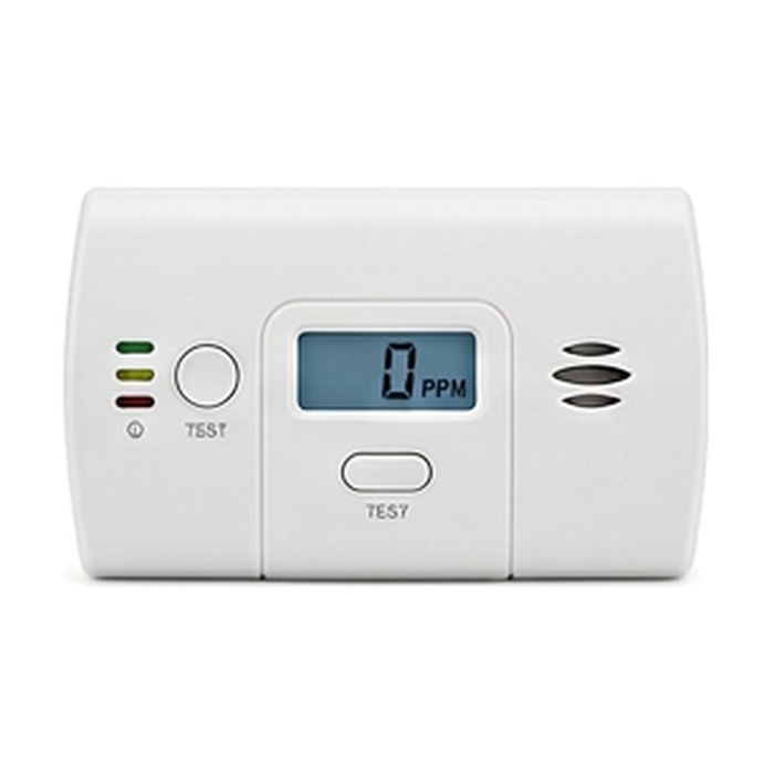 CO Detector